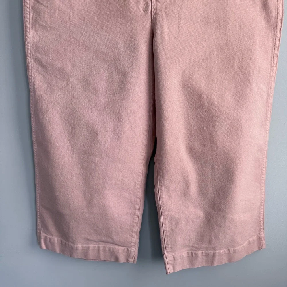 Madewell Emmett Wide Leg Crop Pants Pink Oyster Plus Size 34 High Rise Preppy - Picture 9 of 16